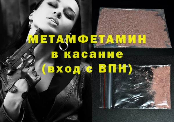 сатива Вяземский