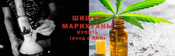 сатива Вяземский