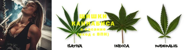 индика Кулебаки