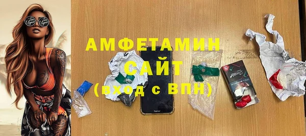 сатива Вяземский