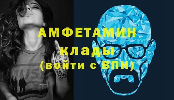 сатива Вяземский