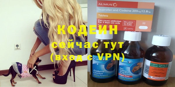 сатива Вяземский
