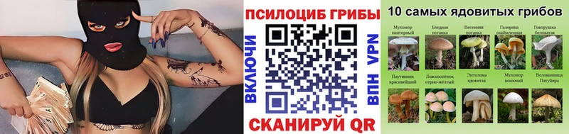 Галлюциногенные грибы Cubensis  где продают наркотики  Ноябрьск 